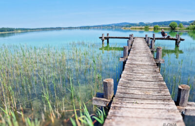 Pfäffiker ežero maršrutas – lengvam pasivaikščiojimui